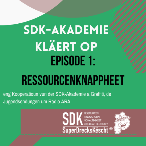 SDK-Akademie – Ressourcenknappheet