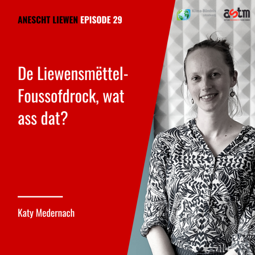 De Liewensmëttel-Foussofdrock, wat ass dat?