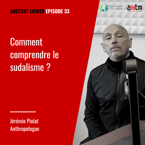 Comment comprendre le sudalisme ?