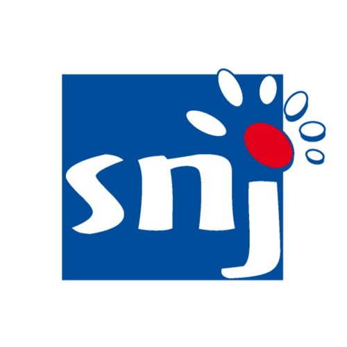 SNJ – Animateur Spécialisé